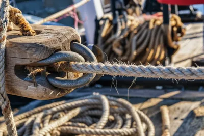 Hình ảnh minh họa mails - Ảnh 1