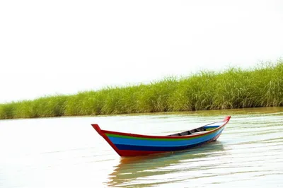 Illustration tided - Image 1