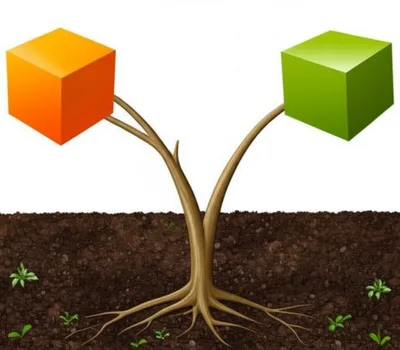 Illustration roots - Image 1