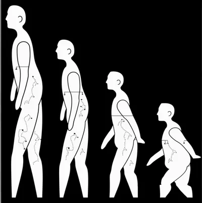 Illustration son - Image 1