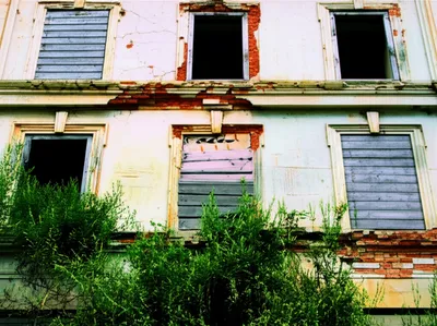 Illustration hospitalizing - Image 1