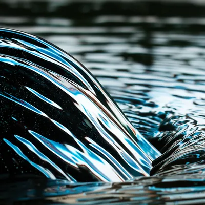 Illustration pour - Image 1