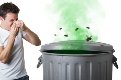 Illustration stinks - Image 1