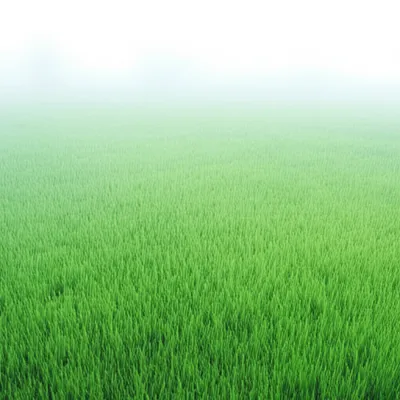 Illustration mantle - Image 1