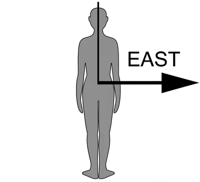 Illustration right - Image 1