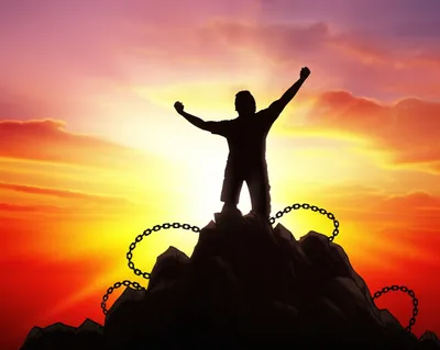 Illustration crushes - Image 1