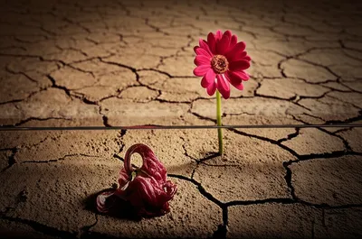 Illustration sterilise - Image 1