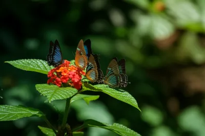 Illustration sparks - Image 1