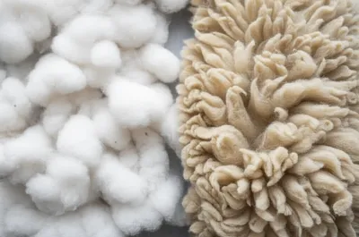 Illustration staple - Image 1