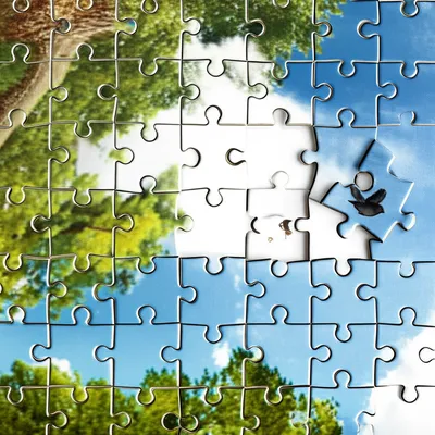 Illustration whimsies - Image 1