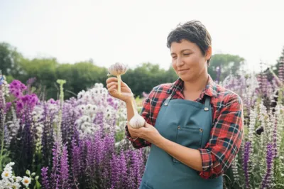 Illustration aces - Image 1