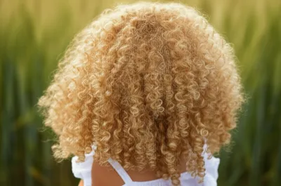 Illustration crisp - Image 1