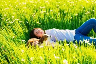 Illustration well - Image 1