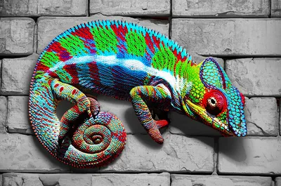 Illustration unmistakable