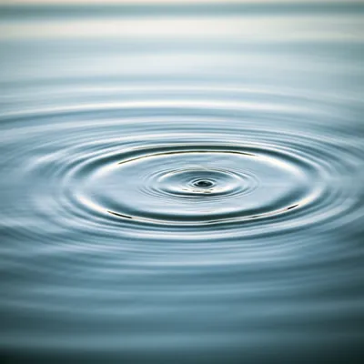 Illustration wimples - Image 1