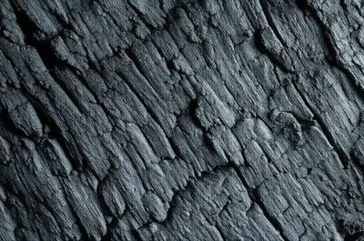 Illustration charcoal - Image 1