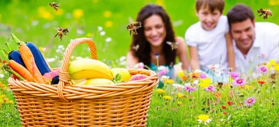 Illustration wholesome - Image 1