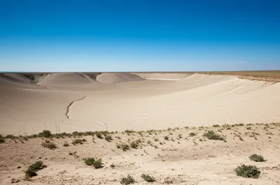 Illustration pan - Image 1