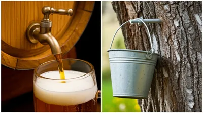 Illustration tapped - Image 1