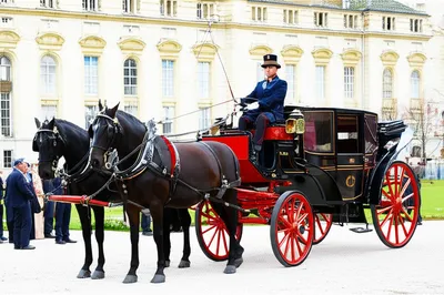 Illustration turnout - Image 1