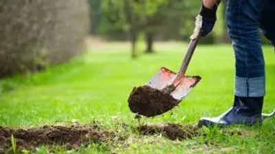 Illustration dig - Image 2