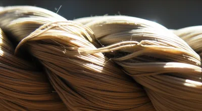 Hình ảnh minh họa releases - Ảnh 1