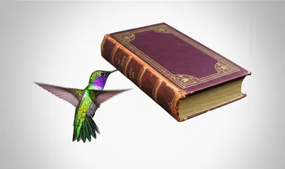 Illustration improbability