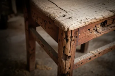 Illustration wormed - Image 1