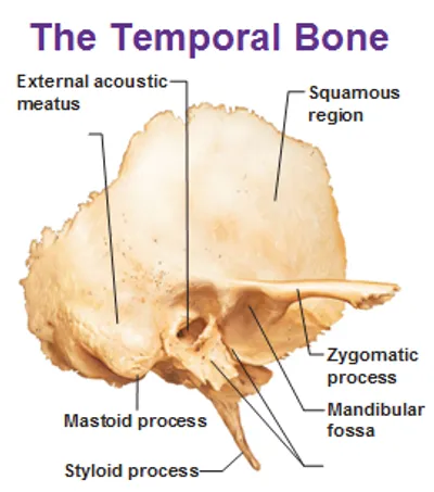 Illustration process - Image 2