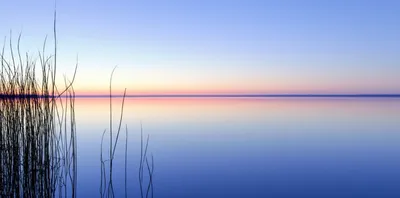 Illustration tranquil - Image 1