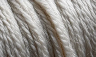 Illustration roves - Image 1