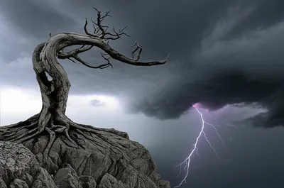 Illustration arrests - Image 1