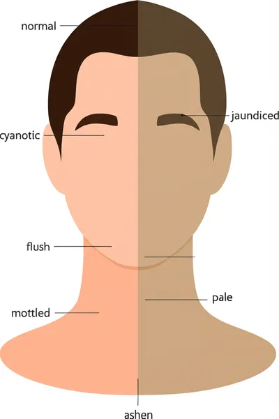 Illustration color - Image 1