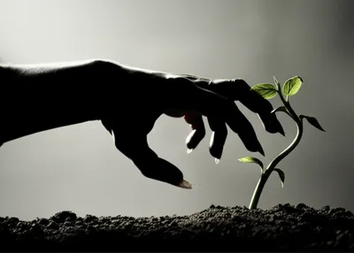 Illustration inflicted