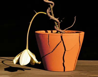 Illustration abused - Image 2