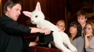 Illustration shew - Image 1