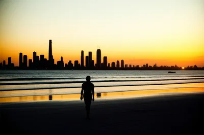 Illustration avoids - Image 1