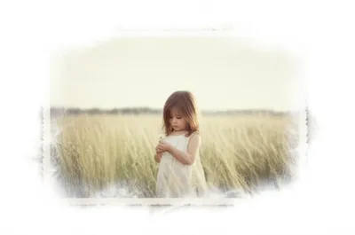 Hình ảnh minh họa vignette - Ảnh 1