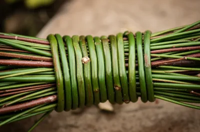 Illustration withe - Image 1