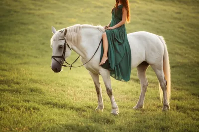 Illustration alighted