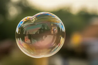 Illustration bull - Image 1