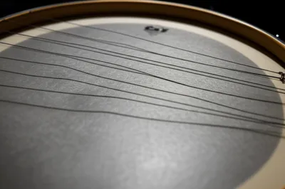 Illustration snare - Image 1