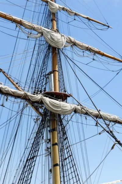 Illustration caps - Image 1