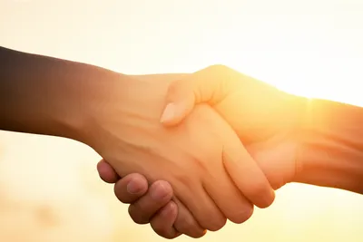 Illustration comported - Image 1