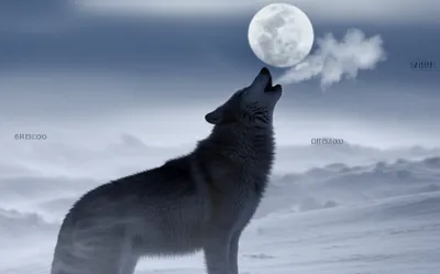 Illustration howls - Image 1