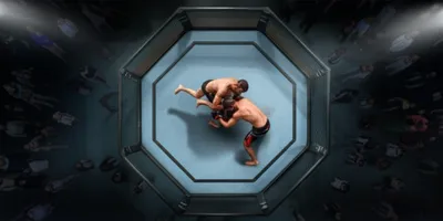 Illustration octagon - Image 1