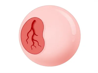 Illustration parietal - Image 1