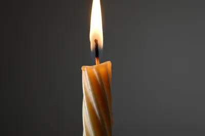 Illustration finished - Image 1