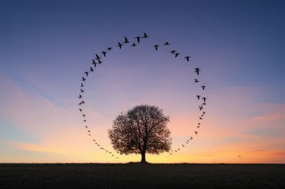 Illustration encircling - Image 1