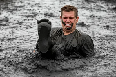 Illustration bogged - Image 1